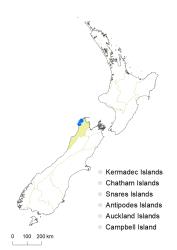 Veronica senex distribution map based on databased records at AK, CHR & WELT.
 Image: K.Boardman © Landcare Research 2022 CC-BY 4.0